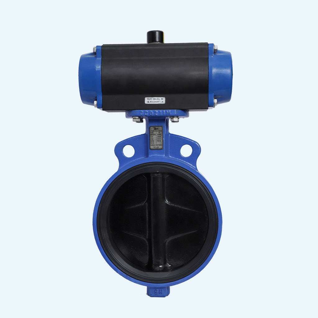 Butterfly Valve