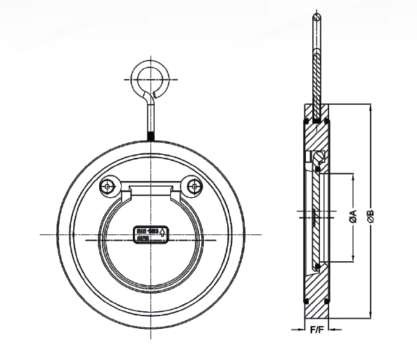 Check Valve